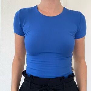 Aritzia Babaton Top